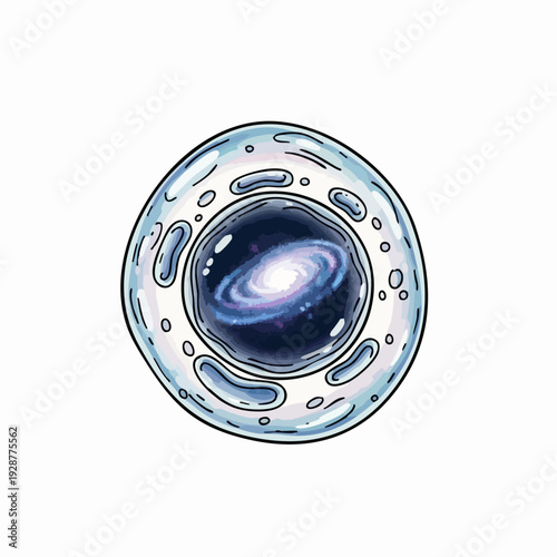 Cell illustration showing nucleus and organelles 1.