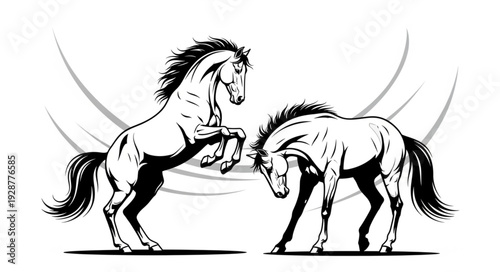 Two powerful horses engaged in a dynamic display of strength and dominance, black and white.