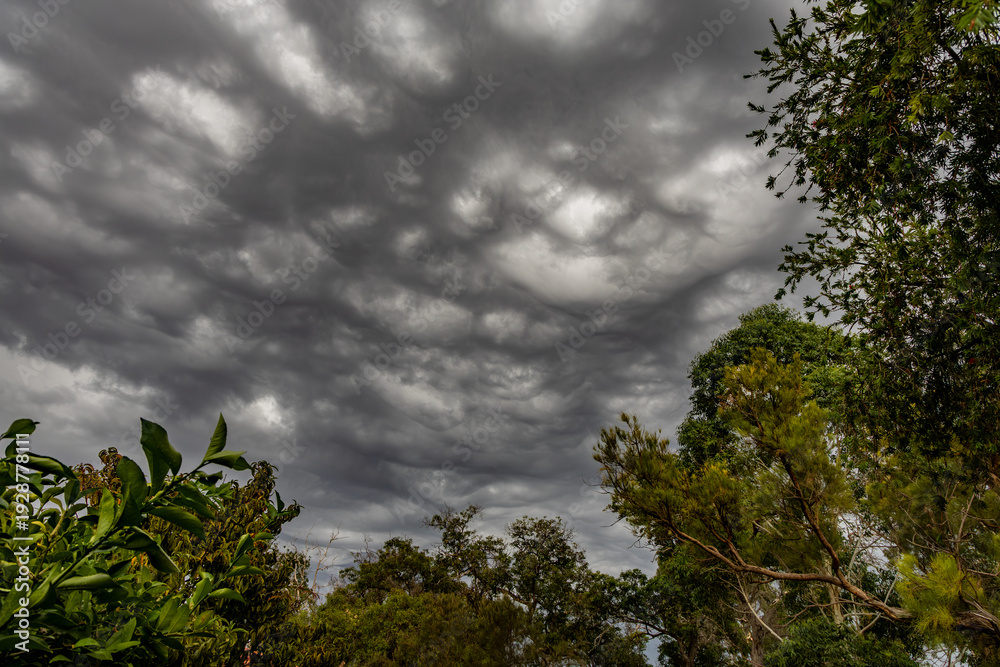 Obraz premium Dark storm clouds approaching a park with trees. 