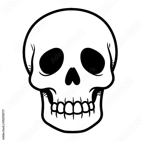 Skull illustration in black and white on plain background  