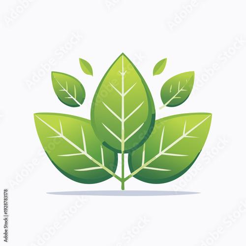 Green Leaf Vector Illustration for Eco-Friendly Branding.