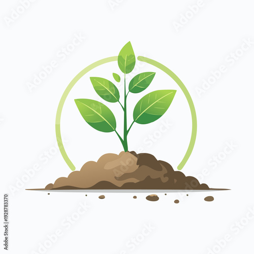 Green plant growing from soil with a light green circle.