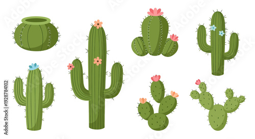 Cacti Collection with Flowers and Pots.