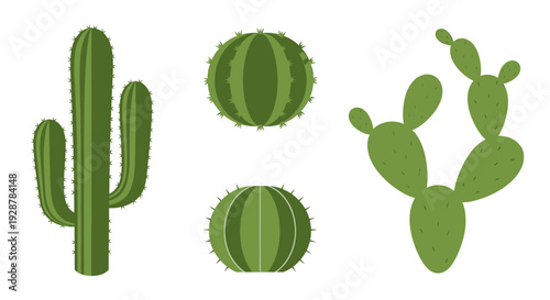 Cactus Plants with Prickly Pear Fruits.