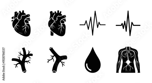 Cardiology and Circulatory System Concept Heartbeat Heart Blood Vector Icon