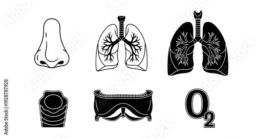 Respiratory Organs Lungs Nose Trachea and Oxygen Molecule Icon Set