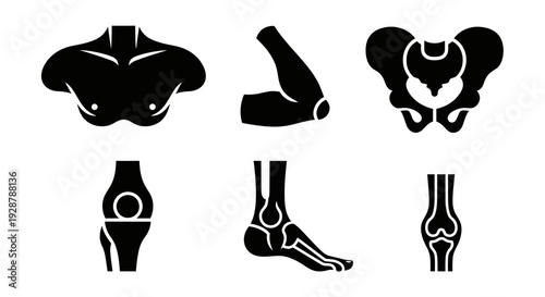 Human Bone Joints and Skeletal System Icon Set Black Silhouette