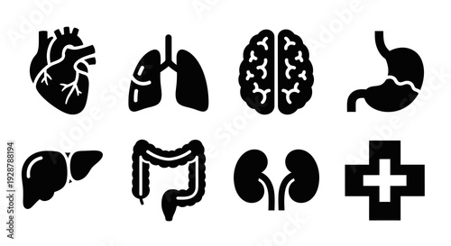 Human Internal Organs Icon Set Heart Brain Lungs Kidney Stomach