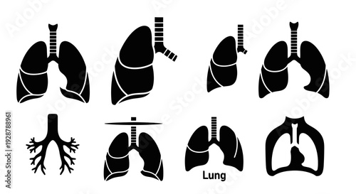 Respiratory System Human Lung Anatomy Silhouette Set for Medical Science