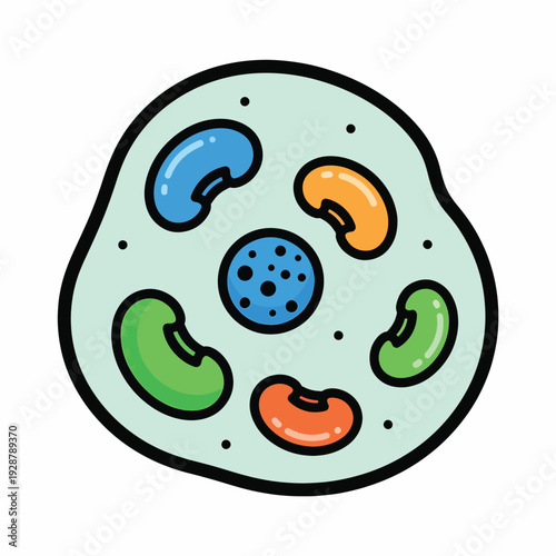 A cartoon cell with nucleus and organelles