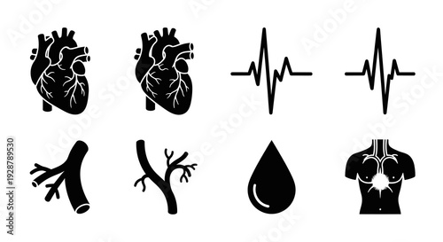 Heart Anatomy and Pulse Line Medical Healthcare Symbol Collection Set