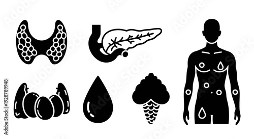 Human Endocrine System Glands Pancreas Thyroid And Hormone Icon Vector