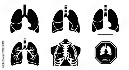 Human Lungs Respiratory System Icon Set Vector Silhouette Medical Illustration