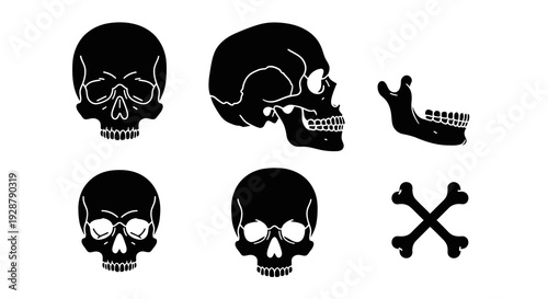 Human Skull Anatomy and Jaw Bone Medical Silhouette Icons