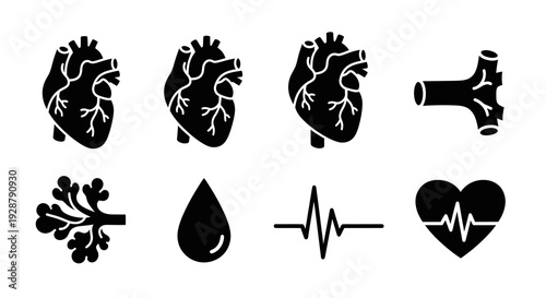 Human Heart Anatomy Cardiology Blood Circulation Pulse Healthcare Vector Icon