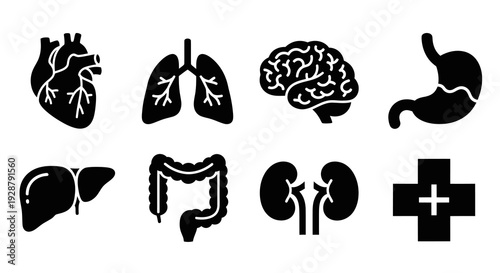 Human Internal Organs Anatomy Icons Set for Medical Science Design