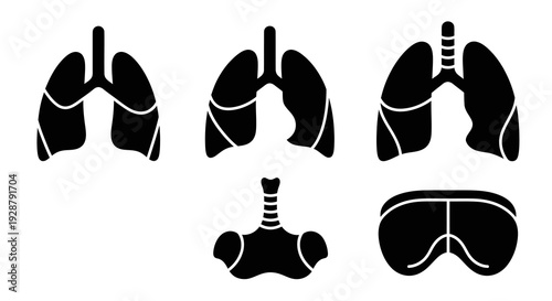 Respiratory System Lungs and Trachea Anatomy Silhouette for Medical Education