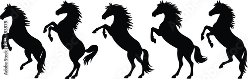 Set of black rearing horse silhouettes in powerful poses isolated on white background, equine vector collection for logo design, branding, tattoo, and illustration