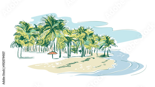 Hand drawn of palm tree vector illustrations