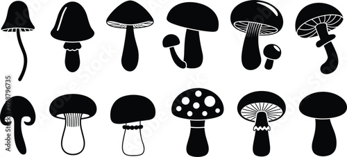 Set of black silhouette illustrations of different mushroom varieties fungus toadstool