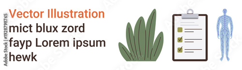 Health care, wellness, anatomy education, healthy lifestyle, organic living, medical tools. A clipboard with checklist, plant and human anatomy sketch. Health care and wellness concept