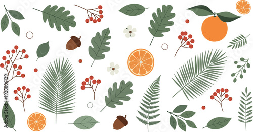 Autumn botanical vector set with leaves, orange slices, berries, acorns and forest foliage illustration