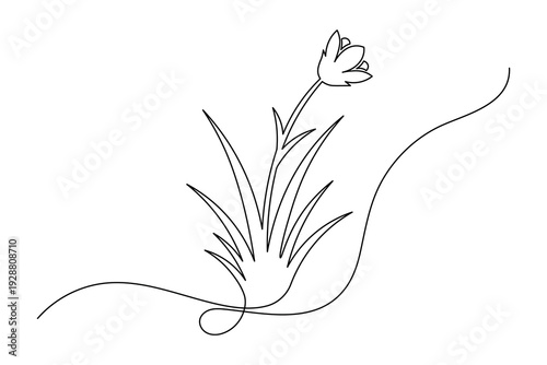 Botanical flower grass continuous line one line art minimalist floral vector illustration