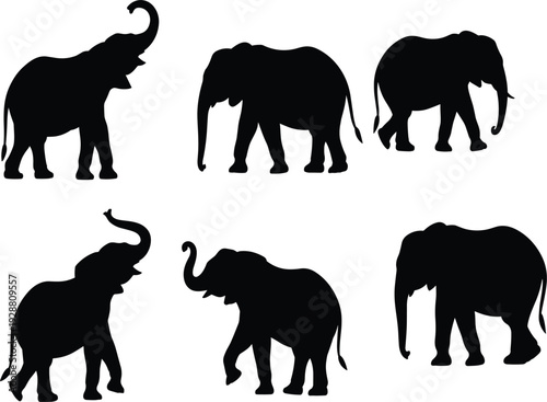 Six black elephant silhouettes in various poses, wild African animal collection for safari design, isolated vector