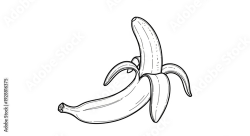 Single peeled banana illustration on white background.