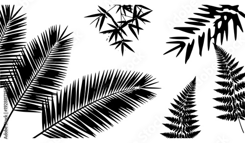 SEO Title
Transparent Bamboo and Palm Leaf Shadow Effect – Tropical Natural Light Overlay Vector Illustration