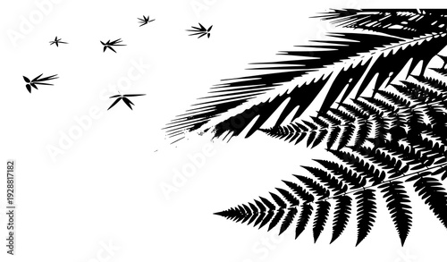 SEO Title
Natural Coconut Palm and Fern Leaf Shadow Mockup on White – Realistic Tropical Overlay Vector