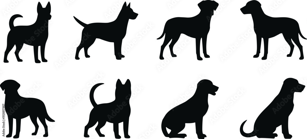 Obraz premium Dog vector illustration, eight silhouette breeds, standing and sitting poses artwork, decorative pet clipart, animal inspired graphic collection