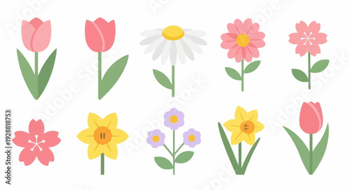 Colorful Spring Flowers Arrangement Featuring Various Floral Designs for Decorative Use
