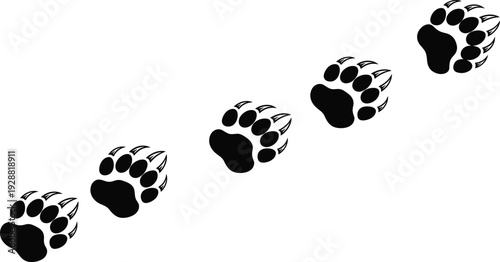 Bear paw print silhouettes arranged diagonally, detailed claws and toes, abstract wildlife vector illustration, symbolic animal tracking design concept