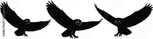 Flying owl silhouettes illustration, dynamic wing positions, black and white vector art, nocturnal bird motion, symbolic wisdom, predator design, decorative nature element