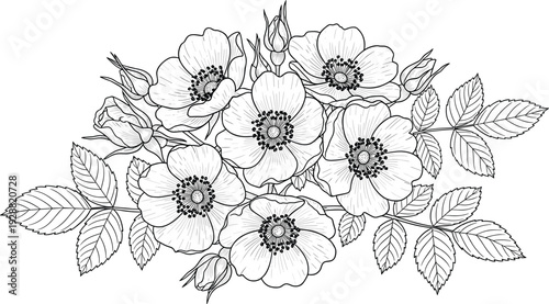 Detailed floral arrangement illustration, seven blooming flowers, veined leaves, symmetrical composition, black and white vector art, decorative botanical design, nature inspired element