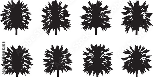 Black Solid Fishtail Palm Silhouettes Set of Six on White Background