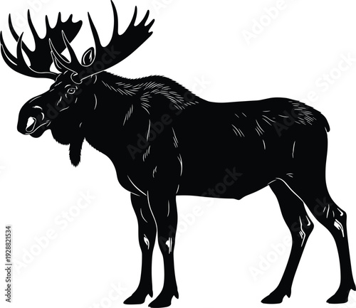 Moose silhouette vector illustration with large antlers, northern wildlife animal profile, muscular body design, nature inspired artwork composition