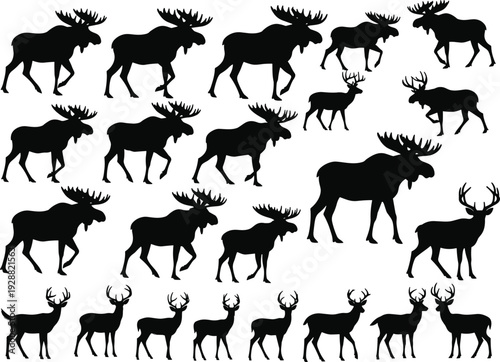 Moose and deer vector illustration, twenty‑four silhouette artworks, wildlife animal design collection, decorative rustic clipart, nature inspired graphic