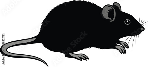 Mouse silhouette illustration, black vector art, rounded body design, wildlife rodent profile, nature motif, decorative artwork, educational graphics, scientific inspiration