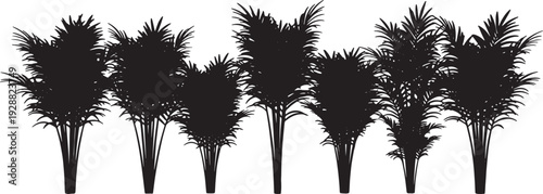 Black Solid Areca and Bamboo Palm Silhouettes Set of Six on White Background