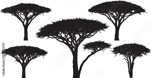 Black Solid Arid Umbrella Thorn Tree Silhouettes Set of Six on White Background