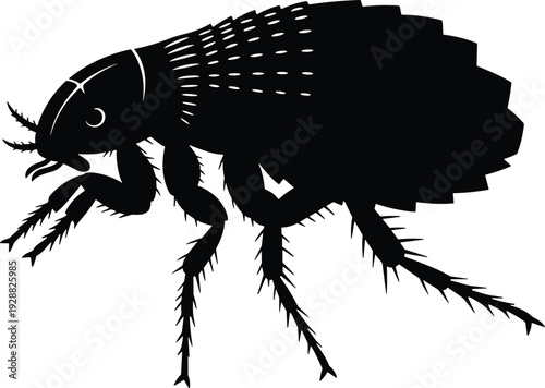 Stylized flea silhouette with segmented body and six spined legs, black vector artwork for educational, scientific, parasitology, pest control design