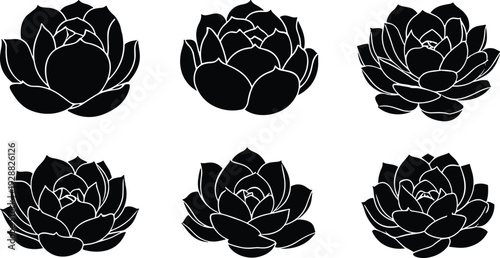 Succulent plant silhouettes, rosette cactus echeveria sempervivum vector illustration, botanical design art, decorative nature clipart, garden flora graphics