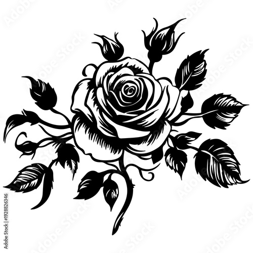 Ornate black silhouette of a rose bloom surrounded by buds and leaves, artistic vector