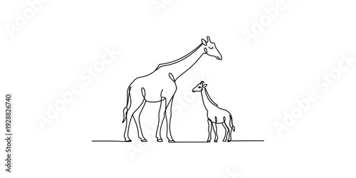 Minimalist continuous line drawing of an adult and a baby giraffe standing together. Vector, illustration