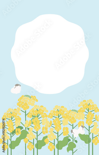 Textile Style Nanohana (Canola Flower) Vector Template (No Text) | Spring Floral Background Illustration