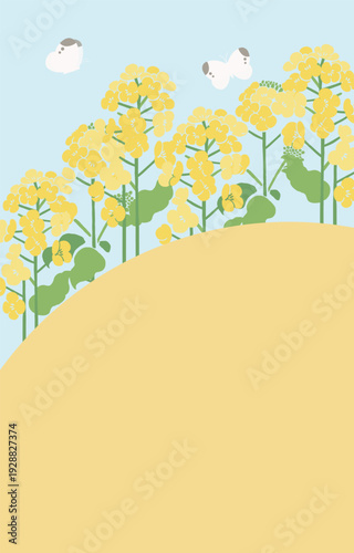 Textile Style Nanohana (Canola Flower) Vector Template (No Text) | Spring Floral Background Illustration
