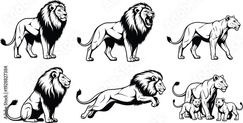 Black and White Lion Vector Set Featuring Roaring Male Lions, Lionesses, Hunting Poses, and Mother Lion with Cubs for Logo Design