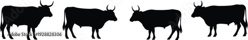 Cow silhouettes with horns standing in row, agricultural livestock vector illustration, abstract farm animal and rural design concept